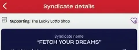 Lotto syndicate details, Fetch Your Dreams.